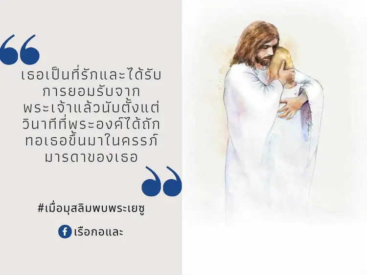 เรื่องราวของฝ้าย